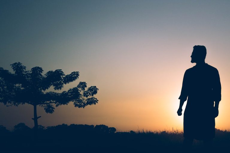 Documentales para Personas Altamente Sensibles